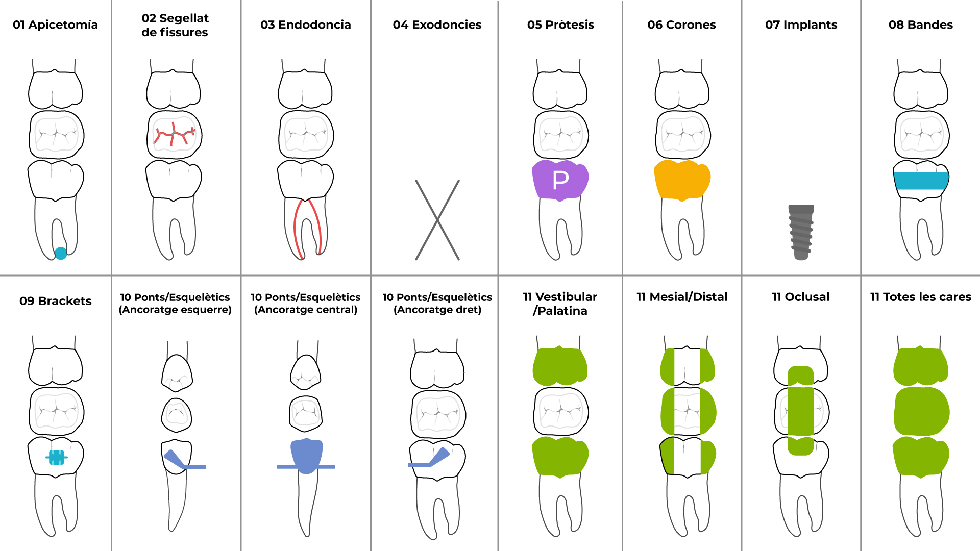 vídeo animado para clínica odontograma